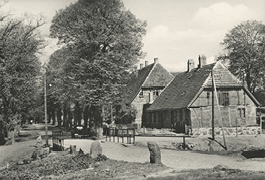 A historical photograph of a residential street in the municipality of Dobbertin. Sandstraße leads out of an avenue of large trees that dominates the left half of the picture. On the right side are two farmhouses, in front of which is Sandstraße, delimited in the foreground by two stone posts.