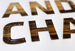 Detail photo of a print of tactile capital letters on a cover.