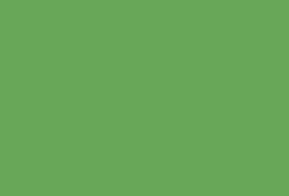 Eine grasgrüne Farbfläche