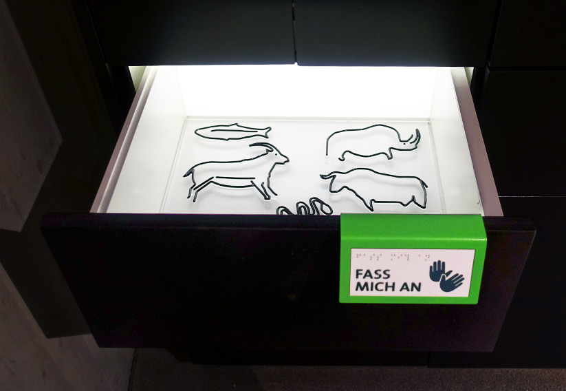 The picture shows tactile cave paintings. They are located in a drawer and can be touched by visitors.