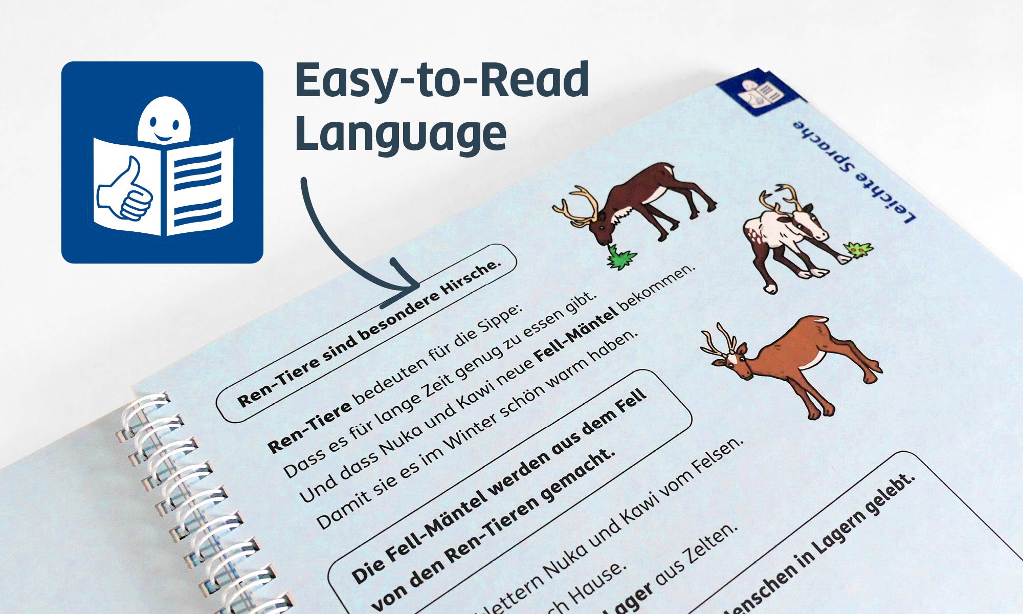 Close-up of a blue easy-to-read language page, which always follows a double page with everyday language and Braille. In the upper left corner of the picture is a pictogram for easy-to-read language. An arrow points to the book page.