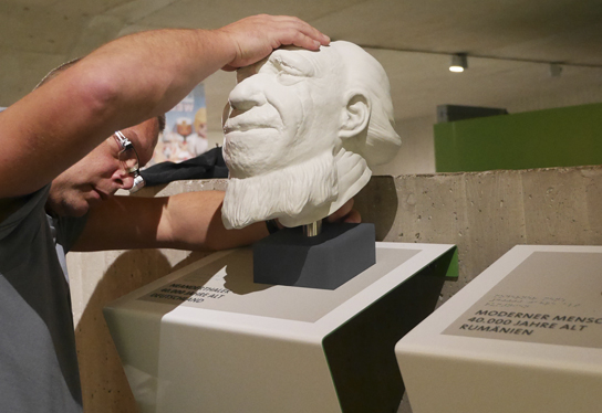 A craftsman mounting one of the replica Neanderthal heads.