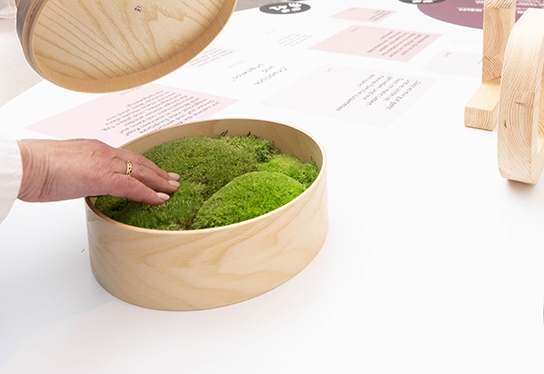 A visitor's hand gropes soft green moss in a round wooden box on one of the exhibition tables.
